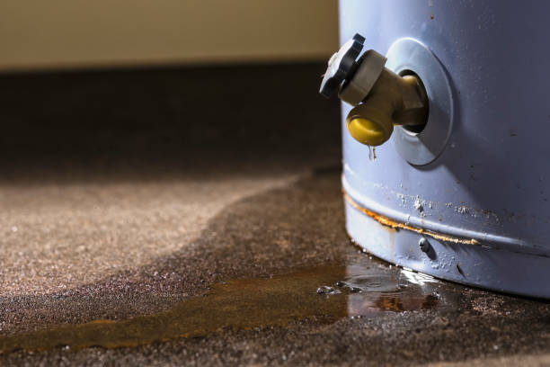 Best Basement water damage restoration  in Devon, PA