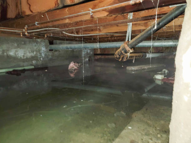 Best Commercial water damage restoration  in Devon, PA