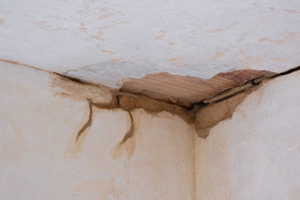 Best Ceiling water damage repair  in Devon, PA