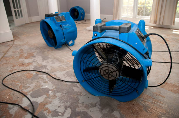 Best Professional water damage repair  in Devon, PA