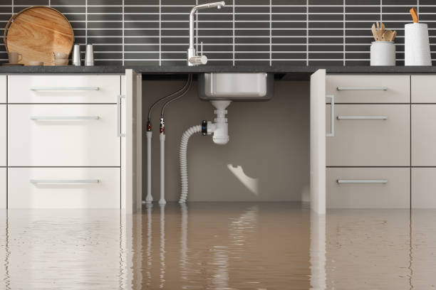 Best Carpet water damage restoration  in Devon, PA