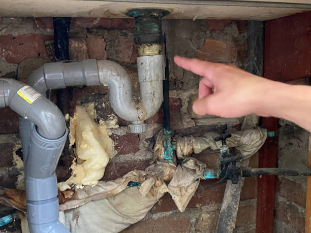 Best Flood damage cleanup  in Devon, PA